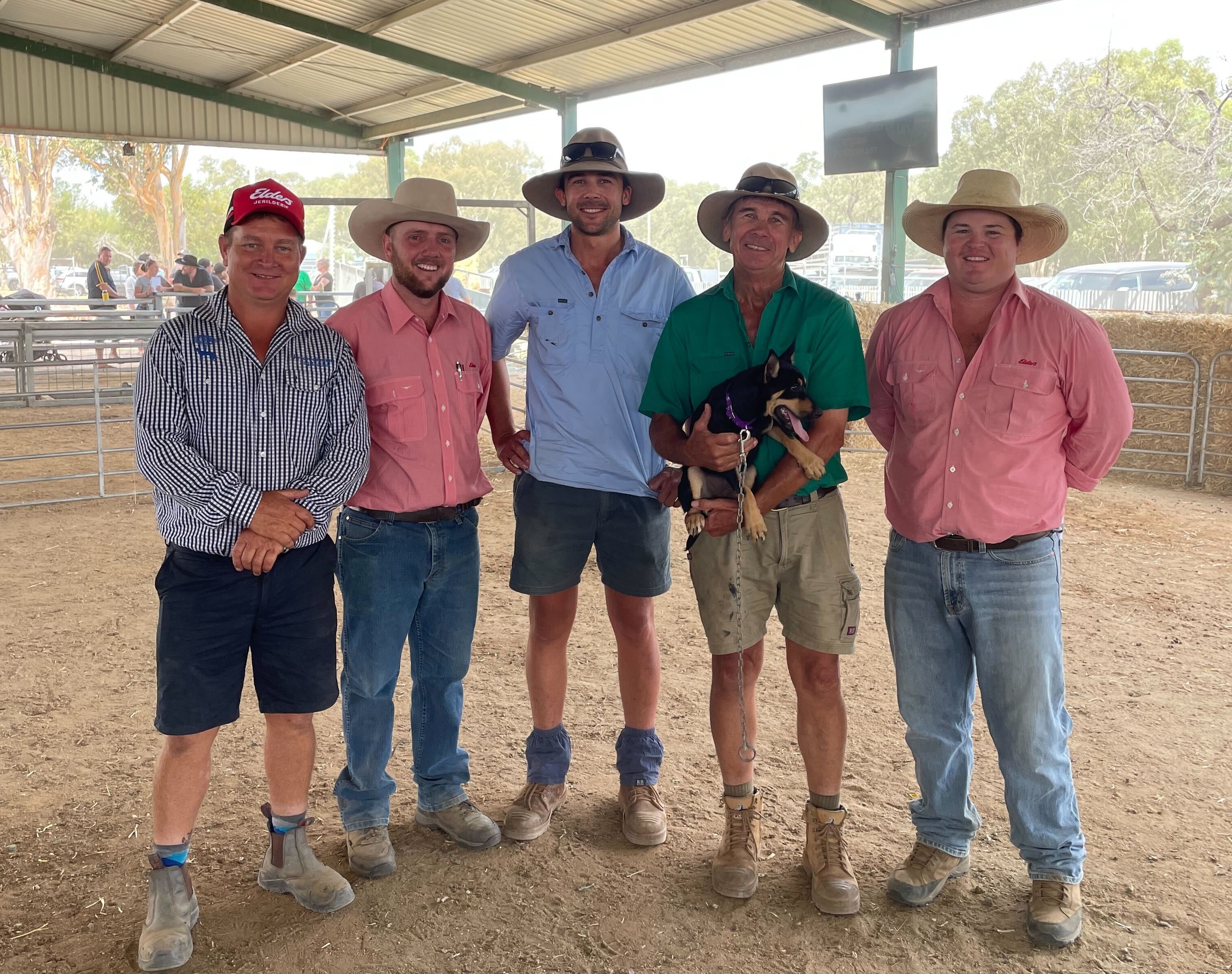 Jerilderie Working Dog Auction Another Howling Success